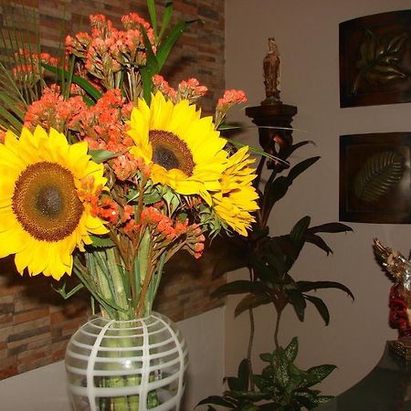 Hostal Gemar ปานามาซิตี้ ภายนอก รูปภาพ